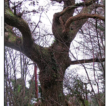 Ringwood, Hampshire, UK Nestled at the edge (now) of the New Forest, Ringwood is my home town in the UK